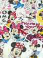 Minnie 6, 24 pcs, Disney, stickers
