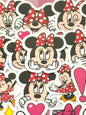 Minnie 1,  40 pcs, Disney, stickers