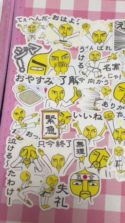 Parappa 4, 40 pcs, stickers, Master Onion