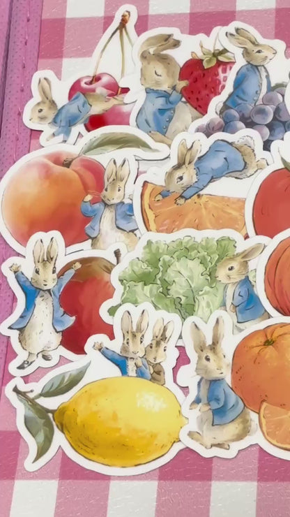 Peter Rabbit 1,  24 pcs, stickers